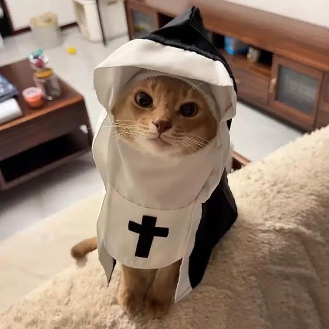 Holy Pet Costume™