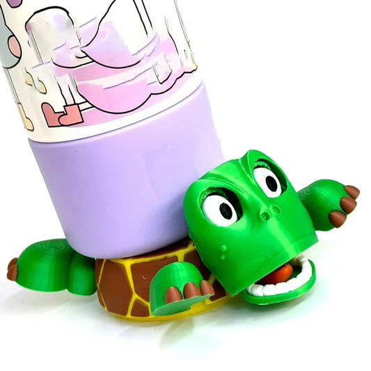 Funny Turtle coaster
