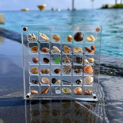 Acrylic Magnetic Seashell Display Box