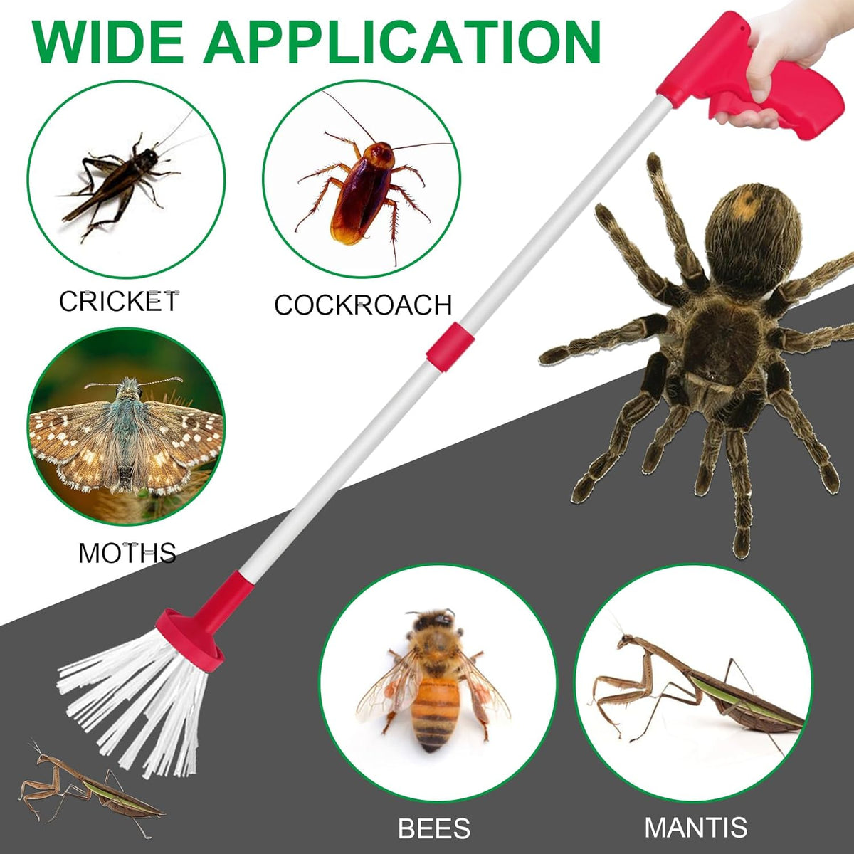 Safe Bug Catcher