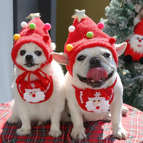 Holiday Pet Outfit (Hat + Scarf)