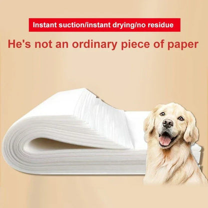 Urine Absorption Paper Pet